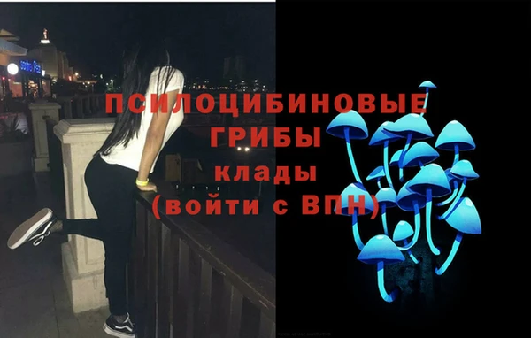 мдма Инта