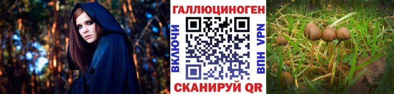 Псилоцибиновые грибы мицелий  Купить где  Вилючинск 